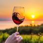 Развиваем винный туризм! Стройотряд РСТ едет в Крым собирать виноград