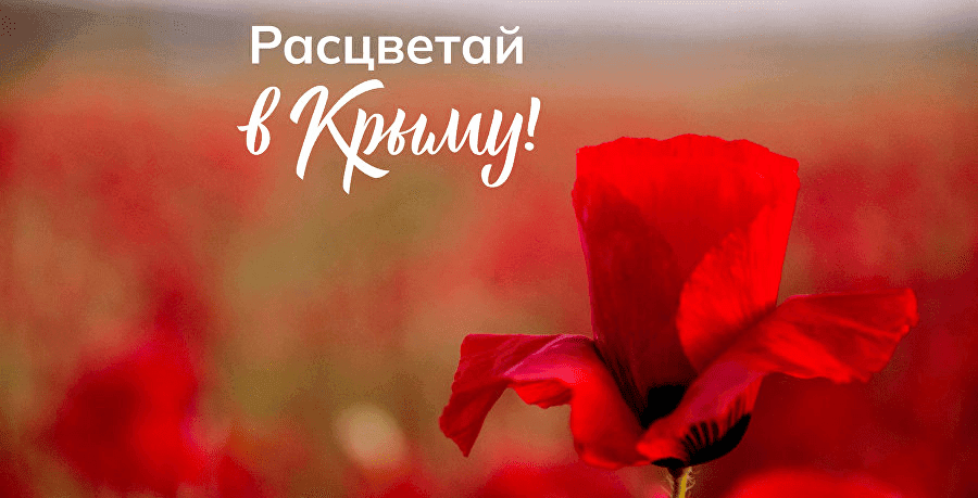 «Расцветай в Крыму!»: весенняя кампания для туристов
