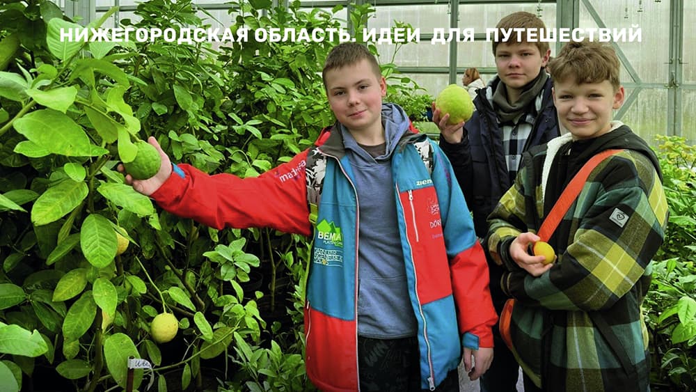 «Павловские охоты» – домашние лимоны, канарейки и гусиные бои